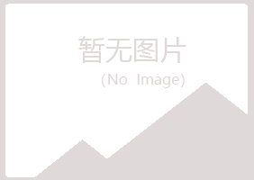 青山区无果培训有限公司